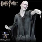 Gentle Giant Harry Potter Lord Voldemort Werwolf-Kostüme 