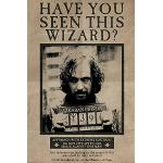 Schwarze empireposter Harry Potter Sirius Black Kunstdrucke 