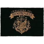 Bunte Motiv empireposter Harry Potter Hogwarts Schmutzfangmatten & Fußabtreter Matte aus Kokosfaser 
