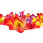 Hawaiiketten & Blumenketten aus Polyester für Herren 