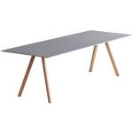 Reduzierte Graue Hay Rechteckige Design Tische aus Holz Breite 150-200cm, Höhe 200-250cm, Tiefe 50-100cm 