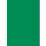 Grüne Heftschoner DIN A5 aus Kunststoff 25-teilig 