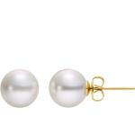 Silberne Elegante Perlenohrstecker aus Edelstahl für Damen 