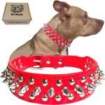 Reduzierte Rote Hello Kitty Hundehalsbänder aus Leder 