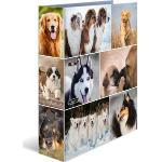Bunte Herma Animals Motivordner mit Hundemotiv DIN A4 aus Pappe 