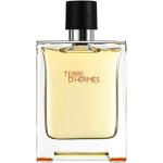 Hermes Terre d'Hermès EdT 100ml