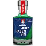 HERZRASEN GIN Hamburg Edition | Premium Dry Gin 42% Vol. |grüner Gin mit Hamburger Rasen | zitronig spritzig mit ausgewählten Zutaten I Gin (Hamburg Edition - zitronig spritig, 0.1 l)