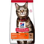 Hills Pet Science Plan Katzenfutter mit Lamm & Reis 