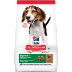 14 kg Hills Pet Science Plan Trockenfutter für Hunde mit Lamm & Reis 