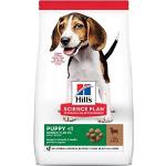 25 kg Hills Pet Science Plan Trockenfutter für Hunde mit Lamm & Reis 