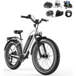 HFRYPShop E-Bike Elektrofahrrad, E-Bike Klapprad mit Hinterradmotor 250W,  48V, 45 Nm, Abnehmbare 15Ah Batterie