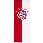 FC Bayern Fußball-Fahnen & Fan-Fahnen Hochformat 