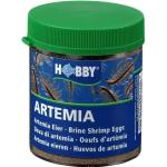 Hobby Artemia Eier