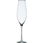 Weiße Moderne Holmegaard Cabernet Champagnergläser aus Glas spülmaschinenfest 6-teilig 