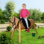 Pferde & Pferdestall Schaukeltiere & Schaukelfahrzeuge aus Birkenholz für 3 - 5 Jahre 