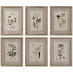 Home ESPRIT Wandbild, Shabby Chic, botanische Pflanzen, 30 x 2 x 40 cm (6 Stück)