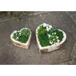 Romantische Pflanzkübel & Blumentöpfe aus Rindenholz 2-teilig 