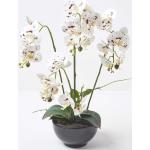 Schwarze Homescapes Künstliche Orchideen 