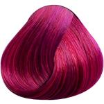 Reduzierte Rosa Horror-Shop Haarfarben mit Rosen / Rosenessenz 