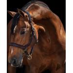 Horseware Ireland Halfter Rambo Micklem "braun" - WB
