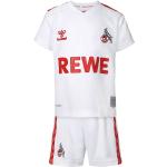 hummel 1. FC Köln Heim Minikit 2023/24 Kinder