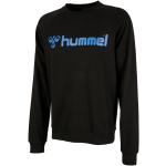 Schwarze Hummel Classic Bee Herrensweatshirts mit Insekten-Motiv aus Baumwolle Größe XXL für den für den Herbst 