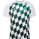 Hummel SV Werder Bremen Pre-Match Trikot 2023 2024 Kinder weiß dunkelgrün Gr 128