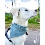 Hellbraune Hundehalstücher & Hundeschals aus Baumwolle maschinenwaschbar 