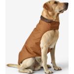 Braune Solognac Hundekleidung aus Polyester 