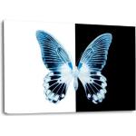 XXL Leinwandbilder mit Schmetterlingsmotiv 80x120 