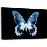 XXL Leinwandbilder mit Schmetterlingsmotiv 60x40 