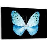 XXL Leinwandbilder mit Schmetterlingsmotiv 30x45 