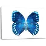 XXL Leinwandbilder mit Schmetterlingsmotiv 