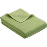 Reduzierte Grüne IBENA Kuscheldecken & Wohndecken aus Baumwolle 240x220 
