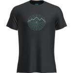Icebreaker Herren Merino 125 Cool-Lite Sphere III Vision T-Shirt (Schwarz, Gr.: S)