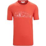 Kurzärmelige Icebreaker NATURE T-Shirts für Herren Größe L 