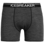 Icebreaker Anatomica Herrenboxershorts aus Nylon Größe S 