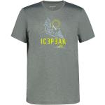 Olivgrüne Icepeak T-Shirts für Herren Größe XL für den für den Winter 
