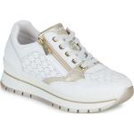 Reduzierte Weiße IGI&Co Low Sneaker aus Leder für Damen Größe 39 mit Absatzhöhe 5cm bis 7cm 