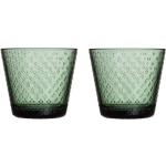 Tannengrüne Skandinavische Iittala Tundra Glasserien & Gläsersets aus Glas 2-teilig 