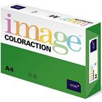 Image Coloraction Dublin - farbiges Kopierpapier - DIN A4, 210 x 297 mm, 160 g/m² - buntes, holzfreies Druckerpapier für Kopierer - 250 Blatt - Dunkelgrün