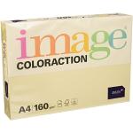 Cremefarbenes Antalis Coloraction Kopierpapier DIN A4, 160g, 250 Blatt aus Papier 