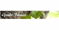 Genki-Bonsai