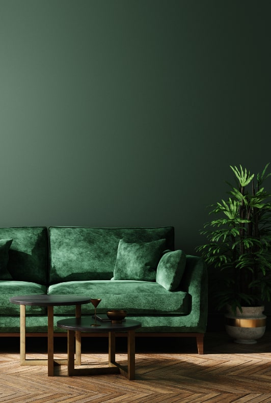 Grüne Samtcouch vor dunkelgrüner Wand mit Pflanze