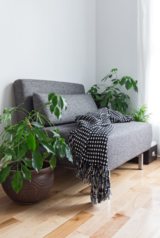 Graue Couch mit Decke und Pflanzen