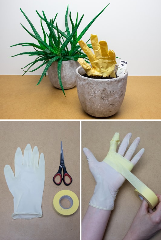 DIY mit Zombiehand im Blumentopf 