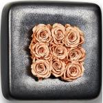 Anthrazitfarbene Flowerbox Rosenpflanzen 