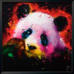 Reduzierte Bunte Asiatische International Graphics Bilder & Wandbilder mit Pandamotiv 30x30 