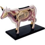 ioannis Tierorgan Anatomie Modell 4D Kuh Intelligenz Zusammenbau Spielzeug Unterrichts Anatomie Modell DIY PopuläRwissenschaftliche GeräTe