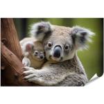 islandburner XXL Bild Poster Koala-Mutter Klammert Sich An Ihren Rücken Premium Bilder Fotodruck